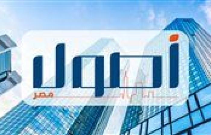 مصر وجهة جاذبة للإستثمارات - بقلم الدكتور - وليد عباس